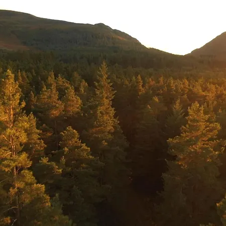 Earls Court House Pensionat 4*