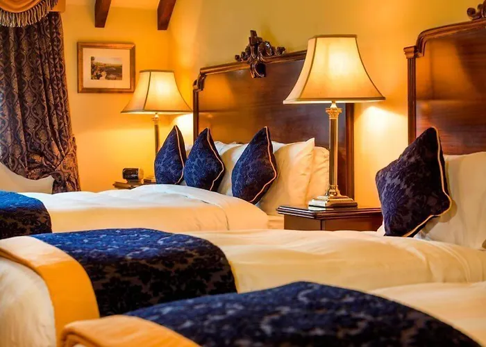 Earls Court House Pensionat Cill Airne