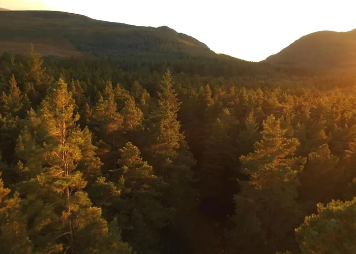 Earls Court House Gasthuis 4*